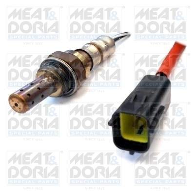 Oxygen Sensor